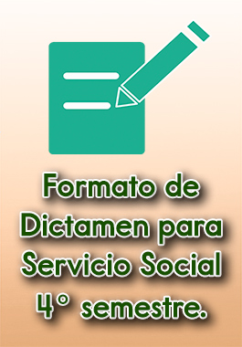 Formato de Dictamen