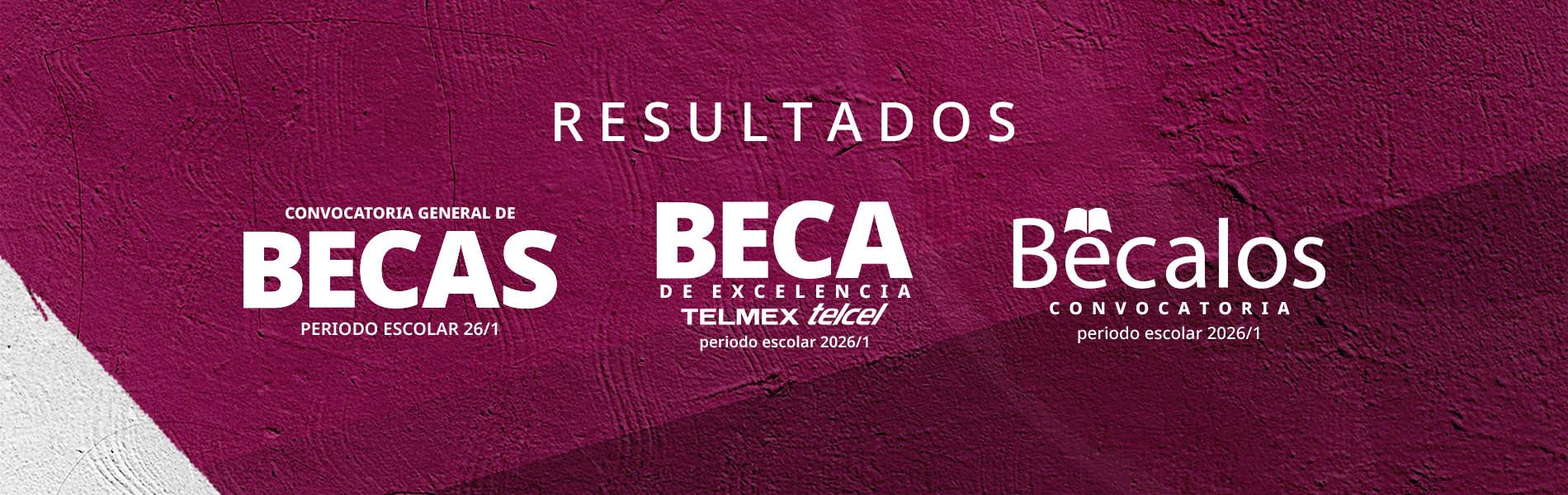 Resultados Becas