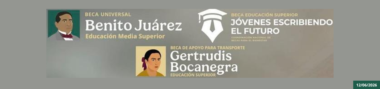 Calendario de Pagos